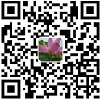 公司手機(jī)站 公司手機(jī)站